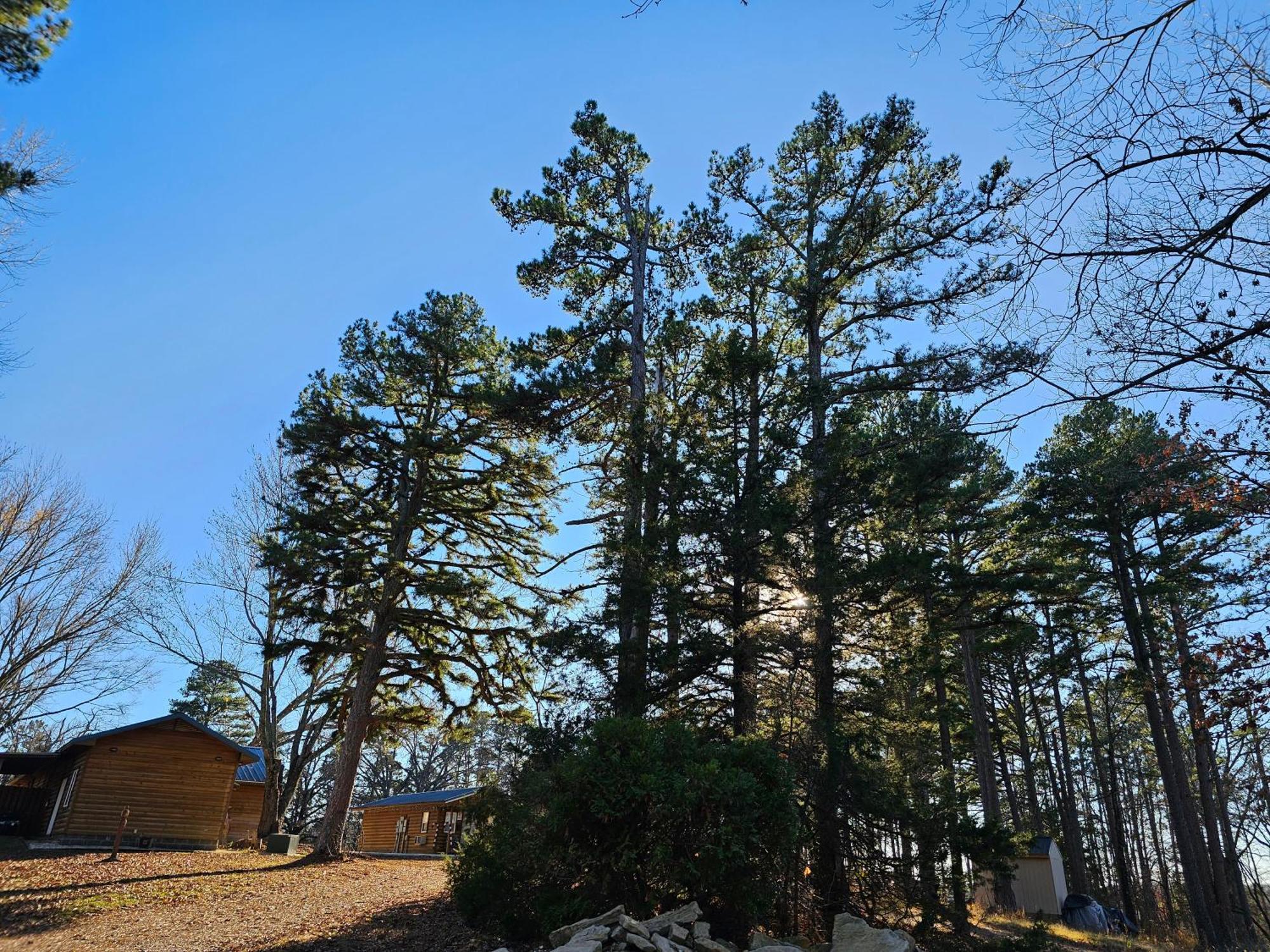 5 Min To Beaver Lake-King Bed-Fire Pit-Jetted Tub #3 Eureka Springs Extérieur photo