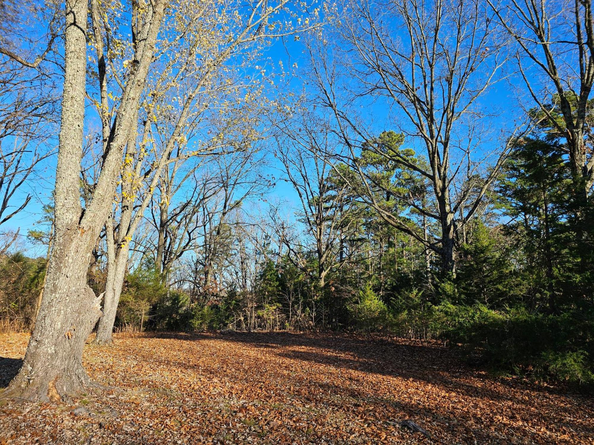 5 Min To Beaver Lake-King Bed-Fire Pit-Jetted Tub #3 Eureka Springs Extérieur photo